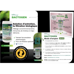 Bactogen 12000