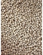 La nourriture idéale à donner pour le bien être de vos koi